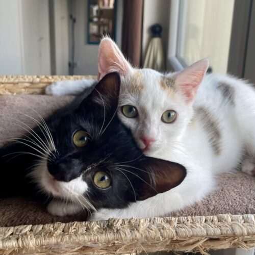 Mara und Moritz