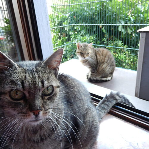 Emma und Kalli