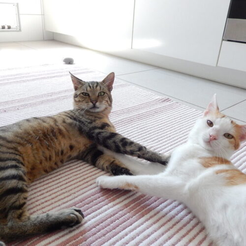 Freddy und Max