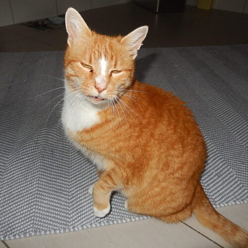 Eddy