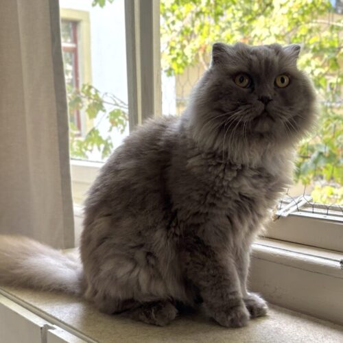 Leo